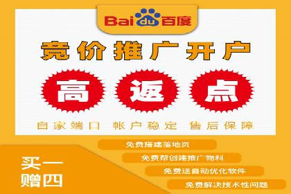 百度竞价包年服务：优化广告投放策略